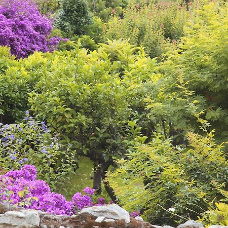 Casa Nobile Bed & Breakfast Tovo San Giacomo Dış mekan fotoğraf
