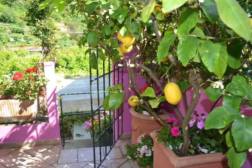 Casa Nobile Bed & Breakfast Tovo San Giacomo Dış mekan fotoğraf