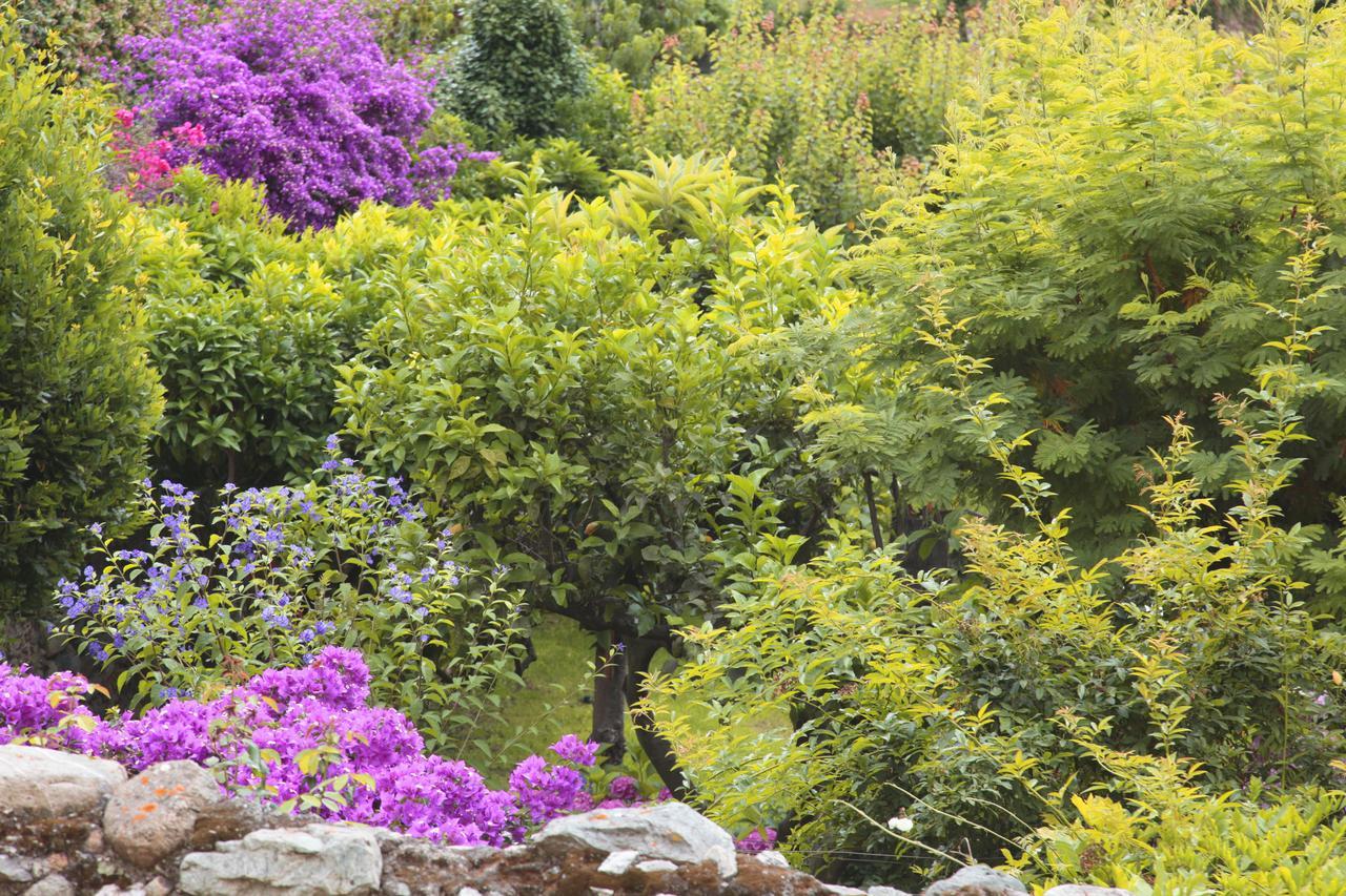 Casa Nobile Bed & Breakfast Tovo San Giacomo Dış mekan fotoğraf